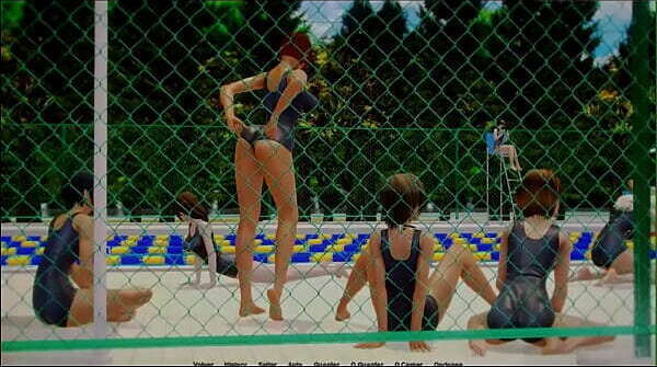 Waifu Academy Revelaciones