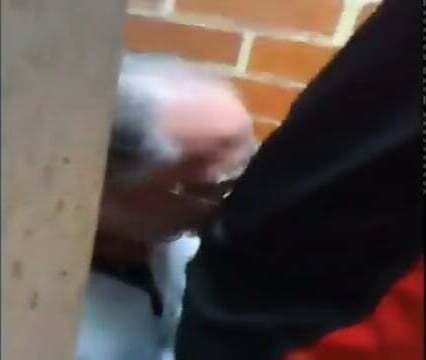 Amateur Bear Returns