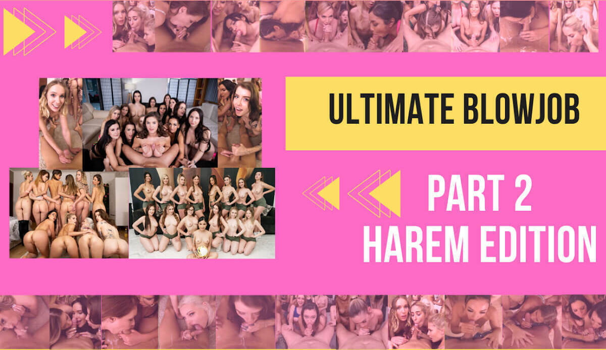 39 Hot Stars - Ultimate Blowjob Harem Edition Part 2 VR Porn Compilation by Privat Jet - PrivateJet