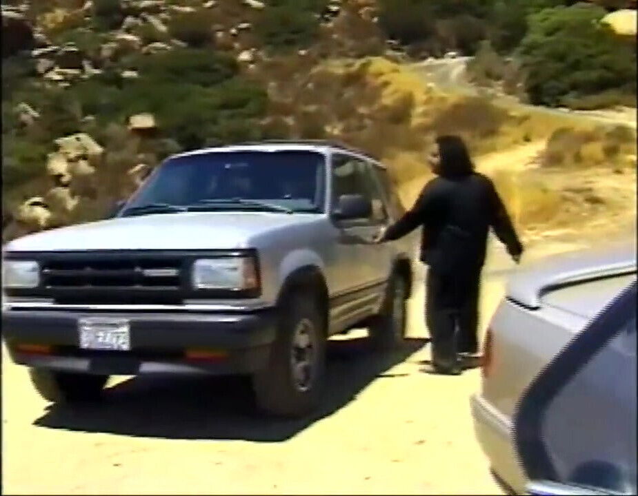 Black white orgy party