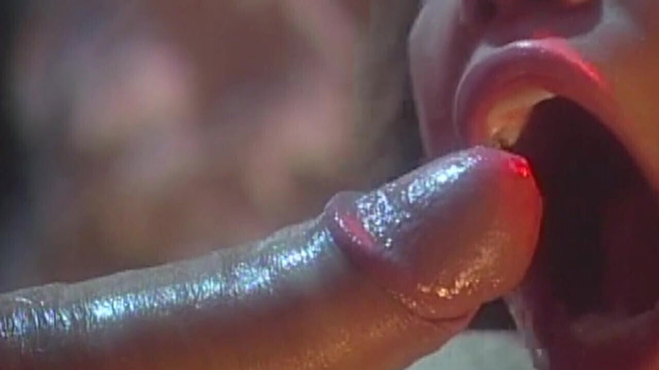 Minh Exotic City Nights