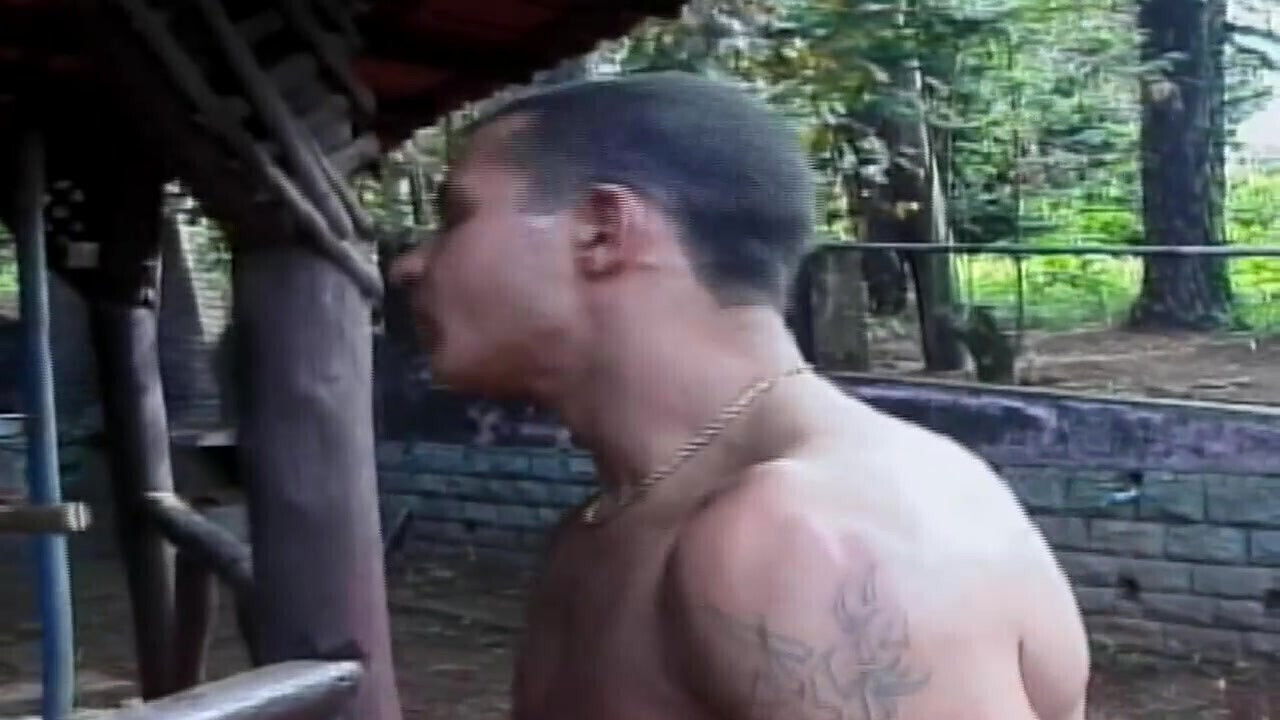 Teenage Transsexuals