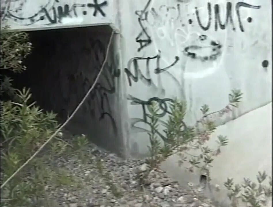 Wonderful Ebony Teen Enjoys Monster Black Cums Mouth