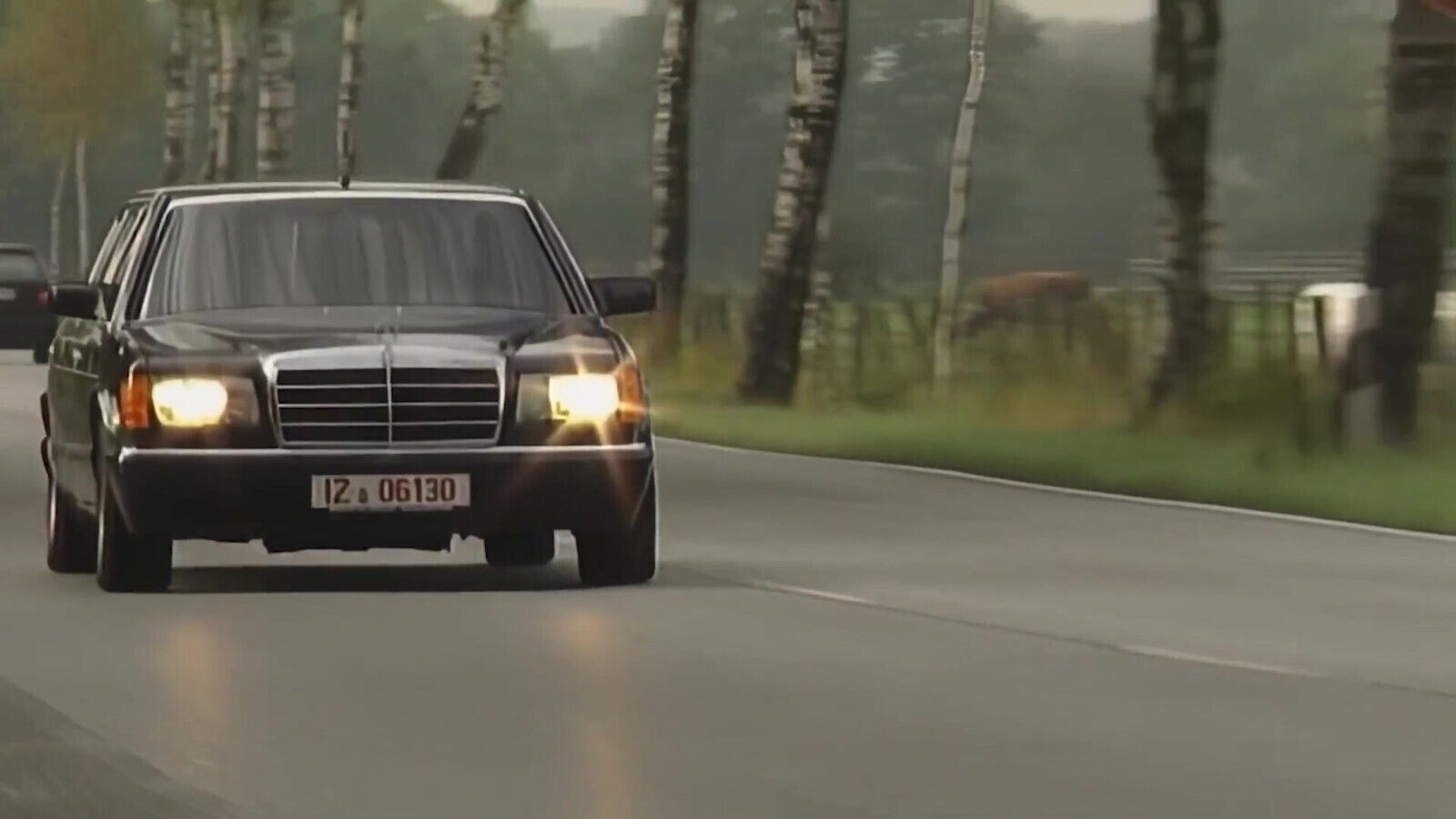 Blonde Gina Wild Wants Hard, Cocks Fuck