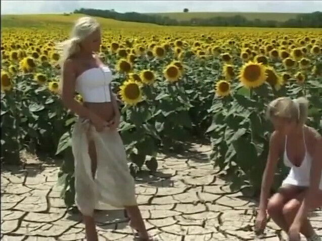 Gorgeous Blondes Plays Cornfield