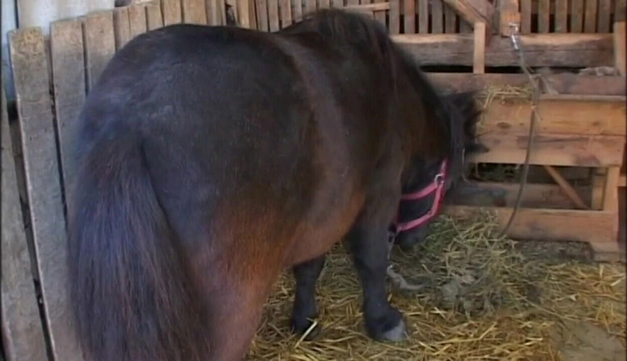 Dirty unleashed mature gets fucked farmer