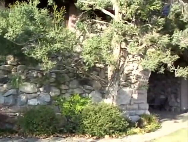 Tattooed petite fucking castle garden