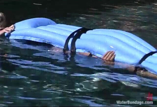 Dragonlily audrey leigh