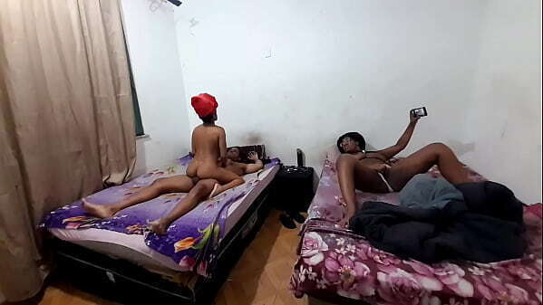 Primog&ecirc_nitas desconhecido.