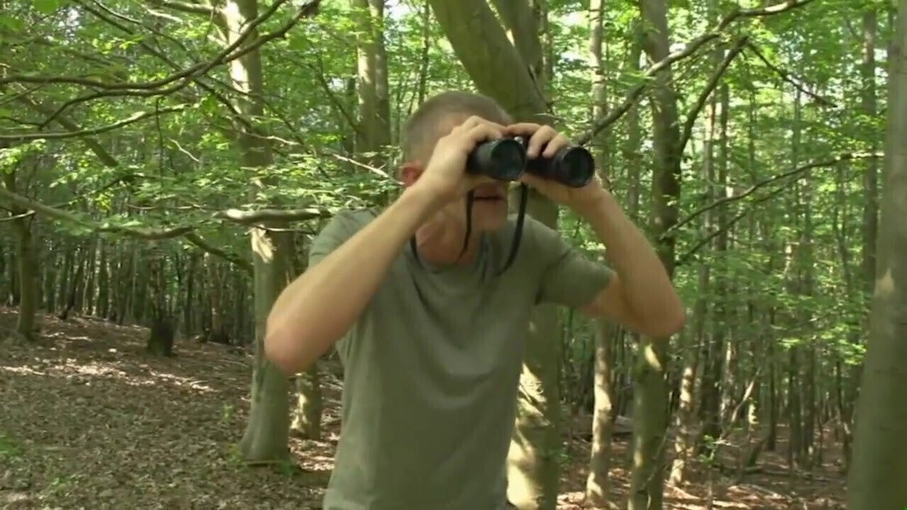 Head forester full movie