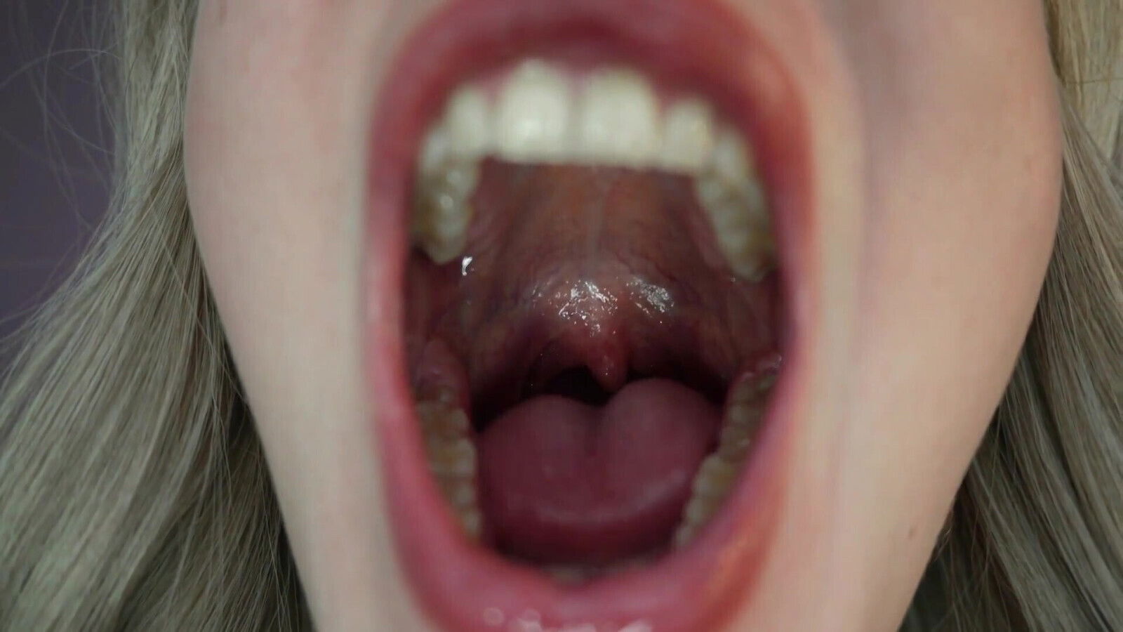 Shrinking Appointment Devour Fantasy