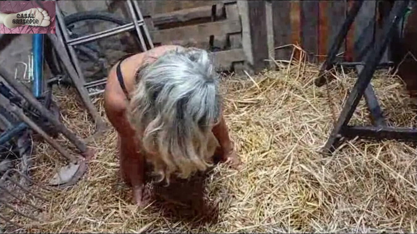 Lesbian Slave Haystack View