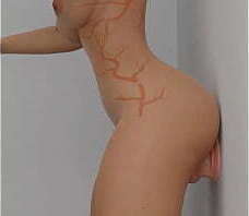 Apex Legends Wattson Compilation