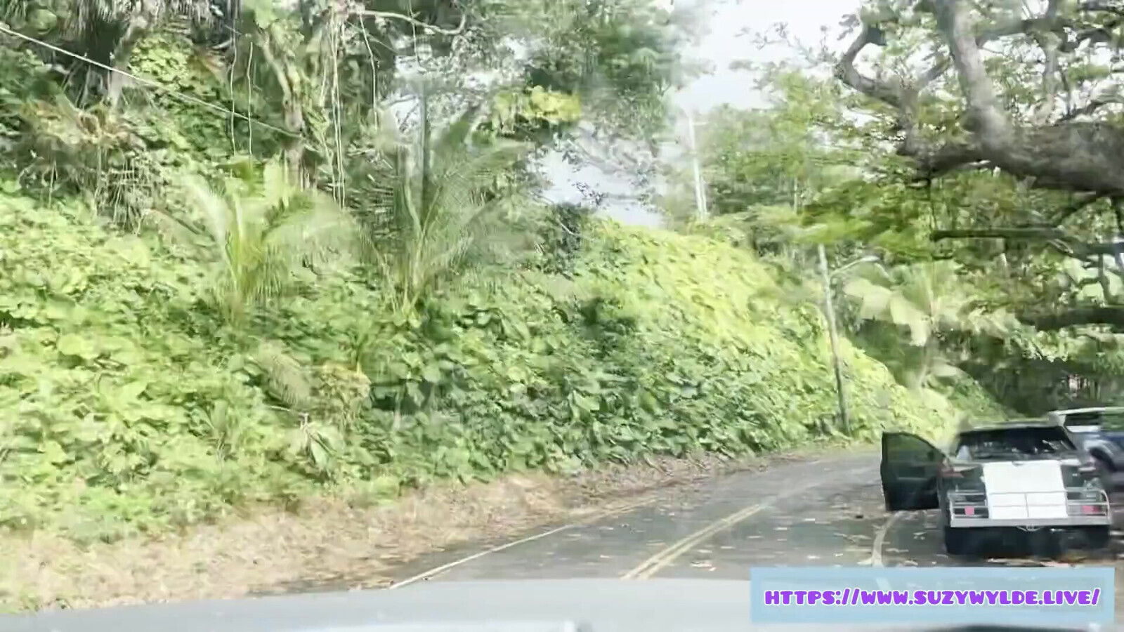 Road Trip Hana Suzy Wylde Waimoku Falls, Maui