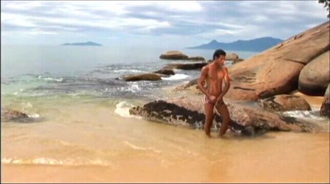 doggy-style beach under