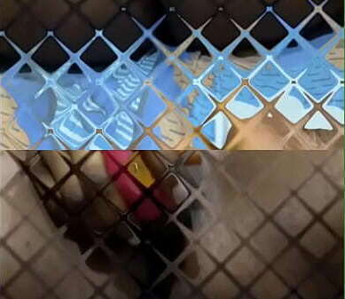 Glamour Girls Gone Rogue