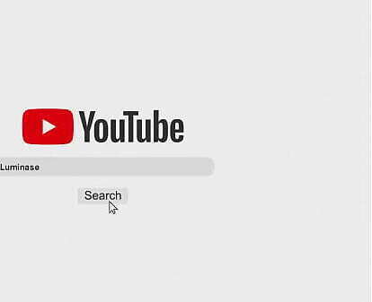 pollo amarillo folla media ciudad