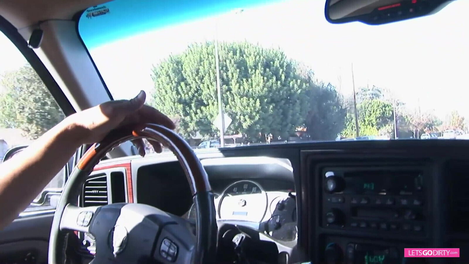 Adorable brunette gets picked black