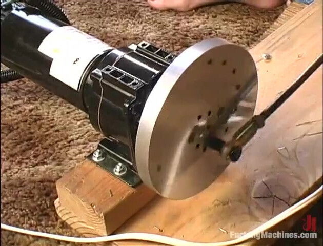 Alexis Rhiannon Bray