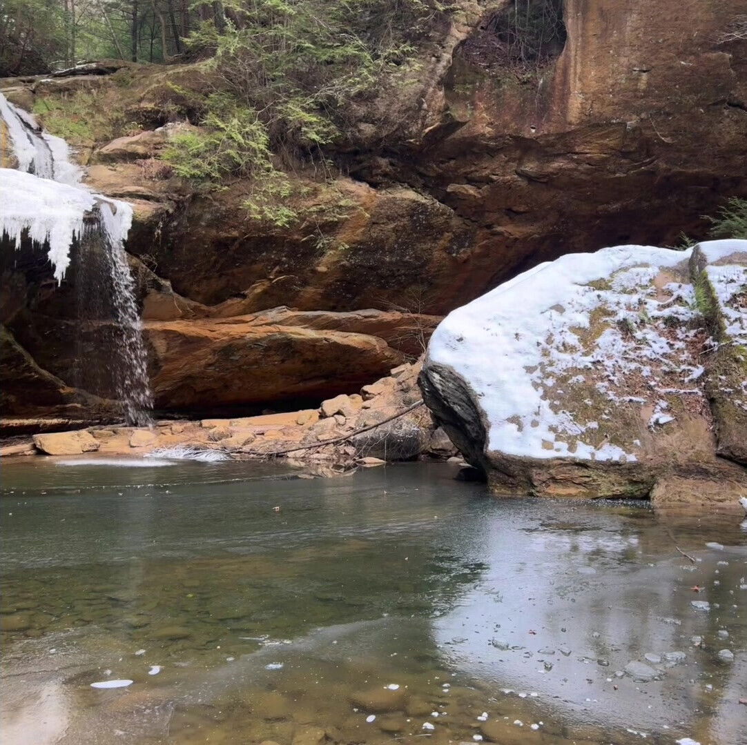 white pussy pounded wilderness