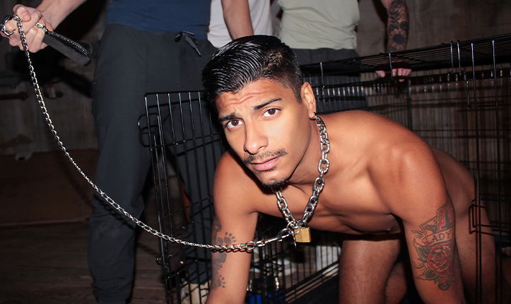 Welcome, Filthy Bottom PigBottoms