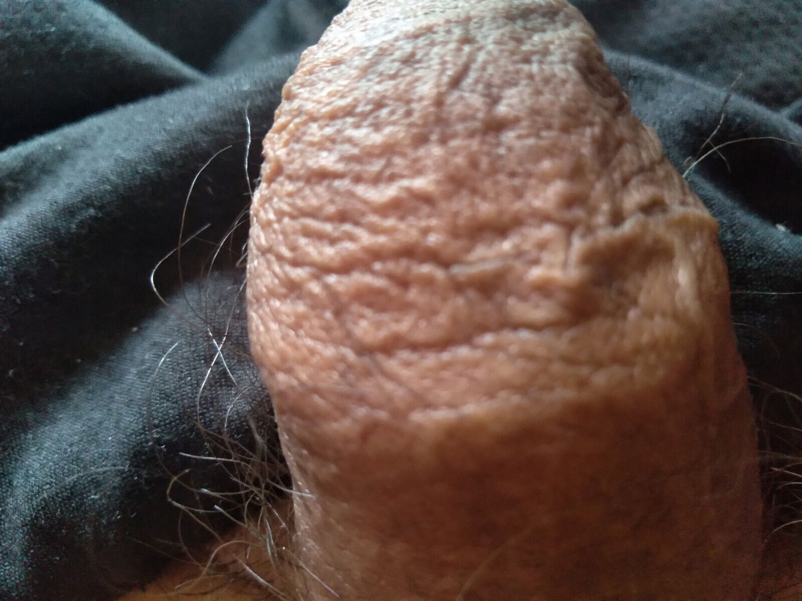 young shows large penis camera