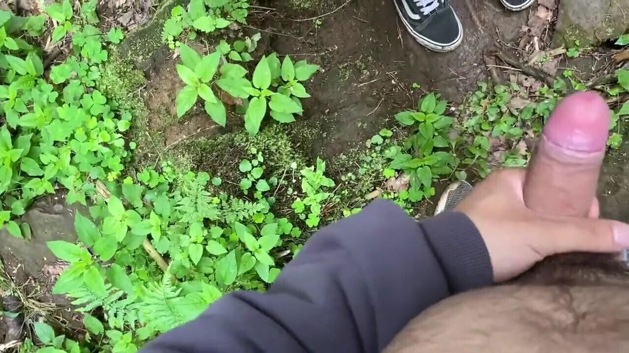 Fucked Tourist Waterfall