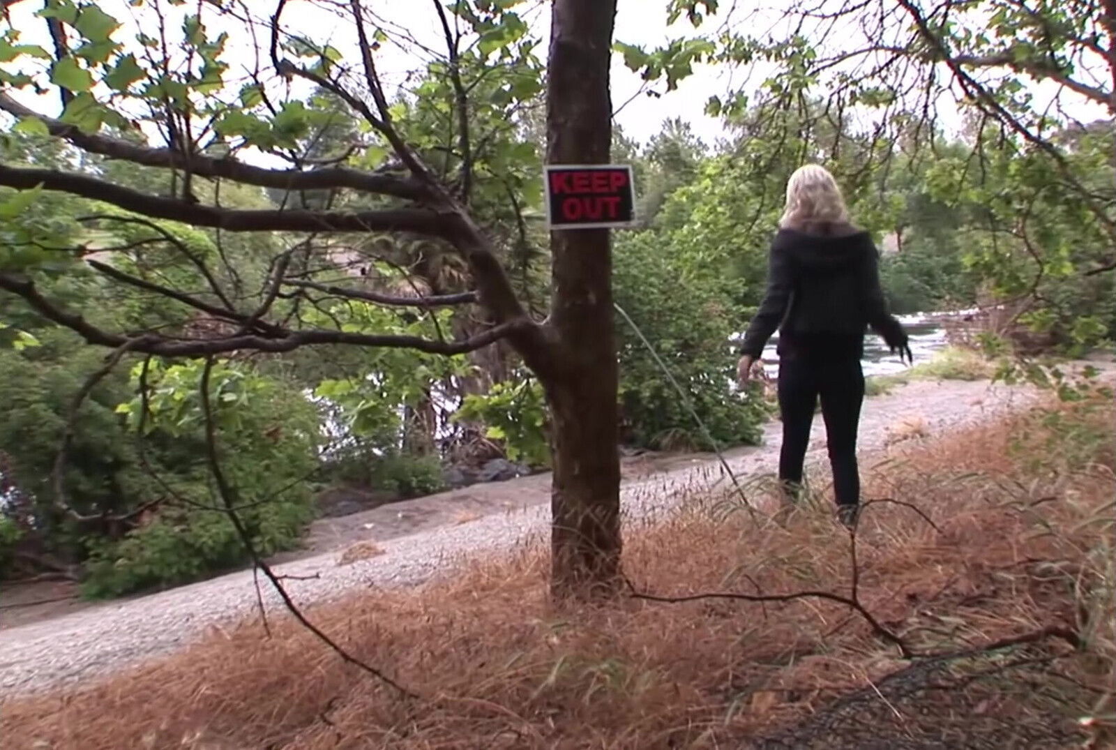 Secret Cellar, Women What They Want.