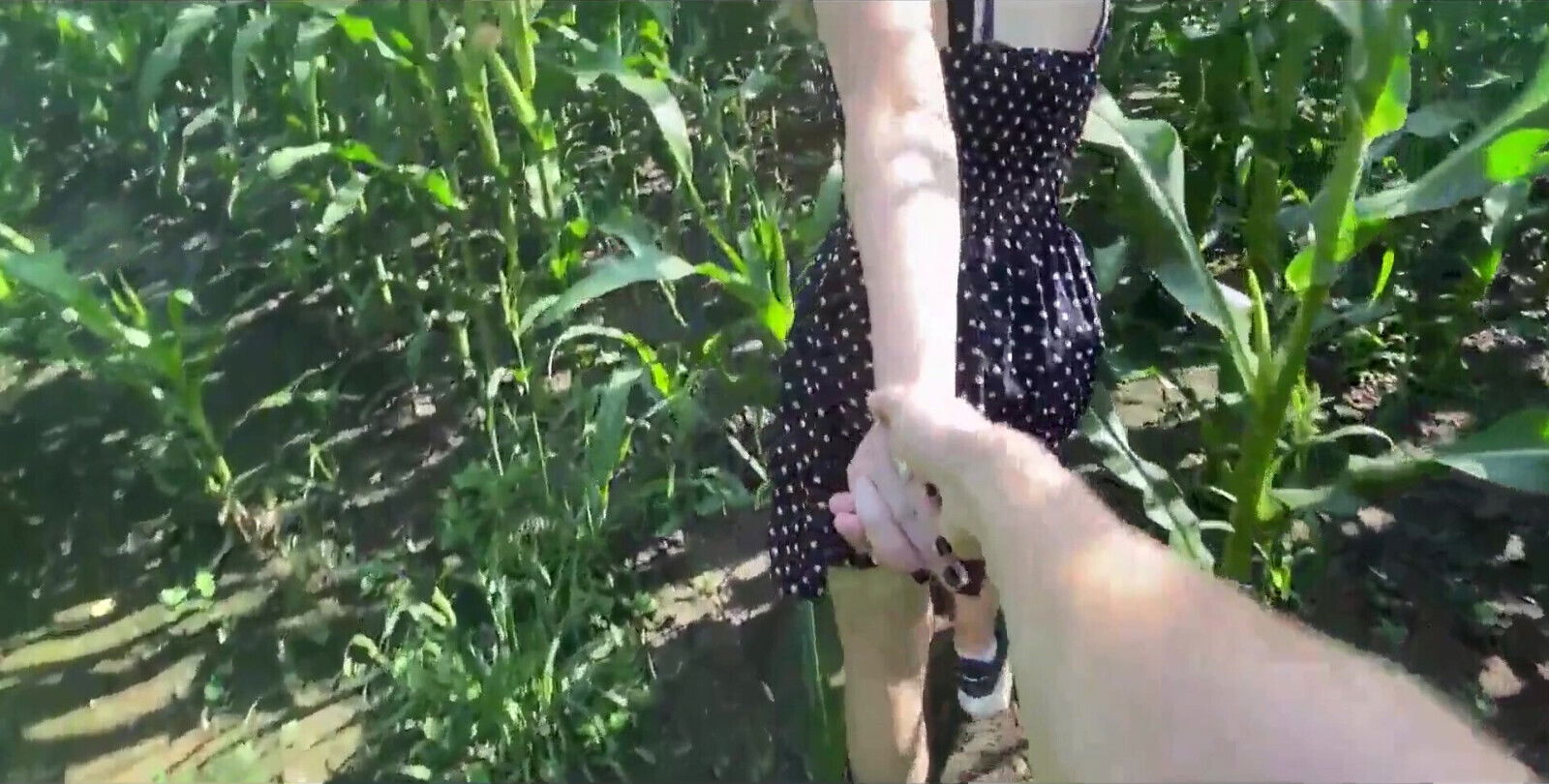Fucks Girl Field Corn Outdoor