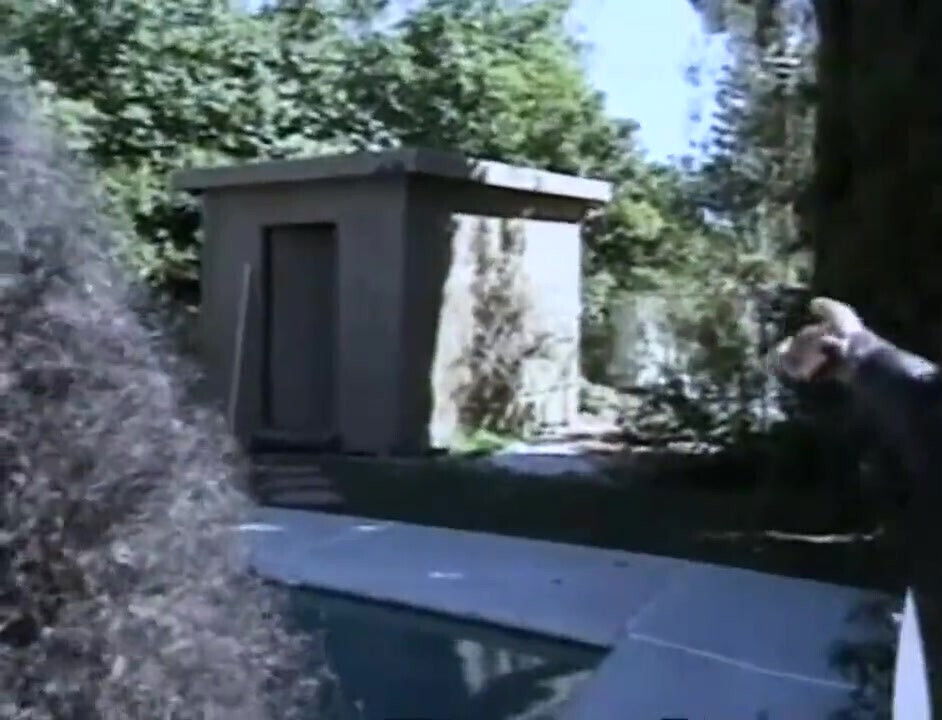 Huge black dick pussy