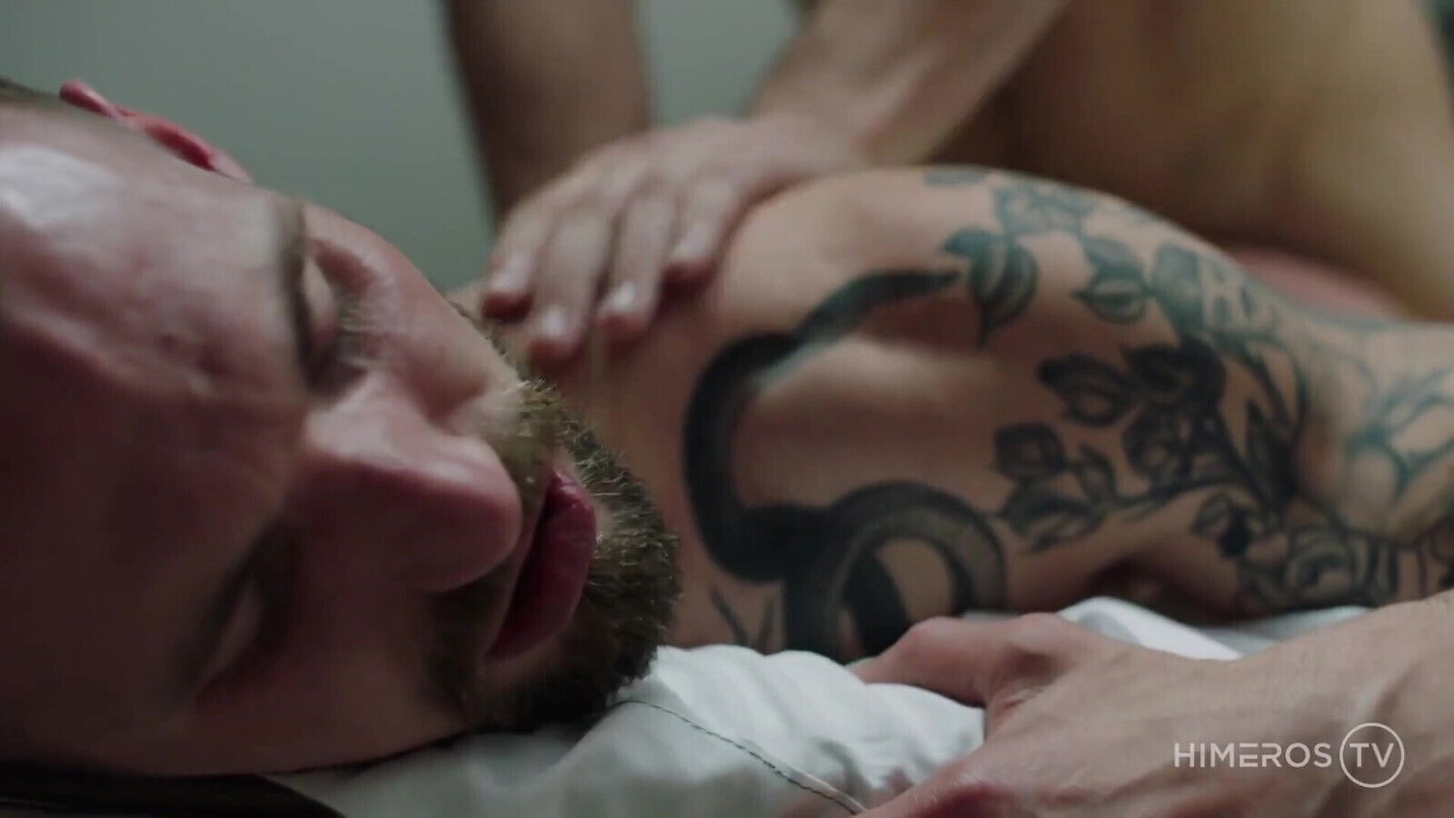 Elements of Desire: License