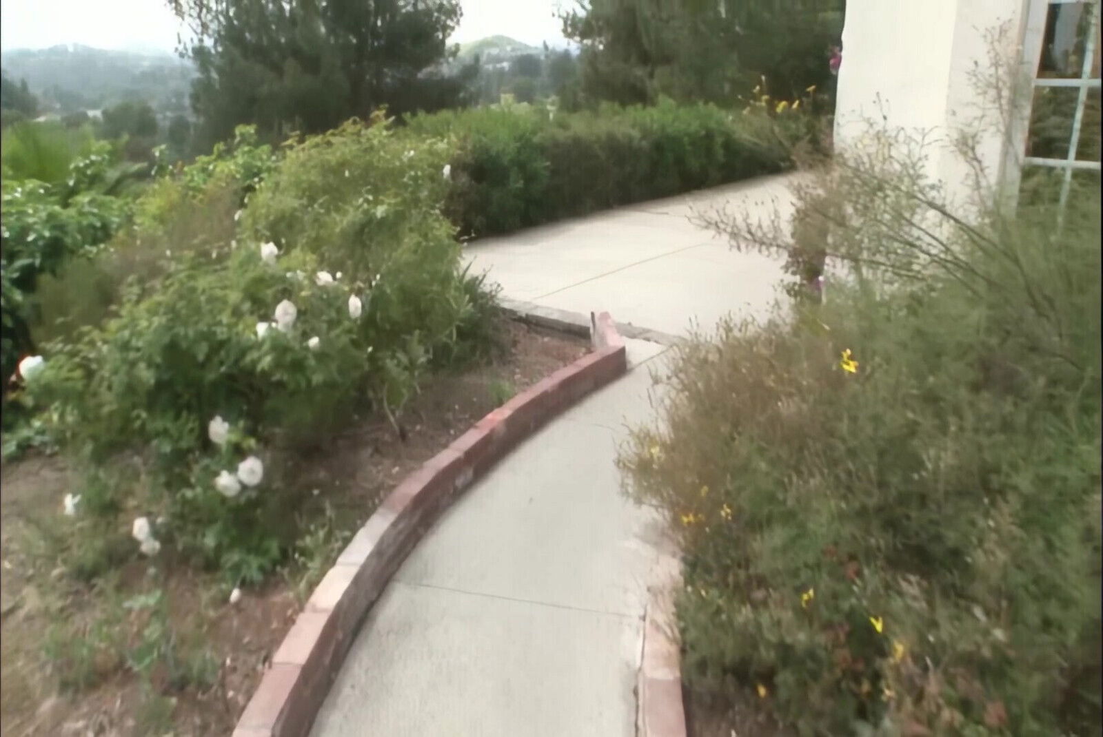 Wild Princess Loves Hot Queen 