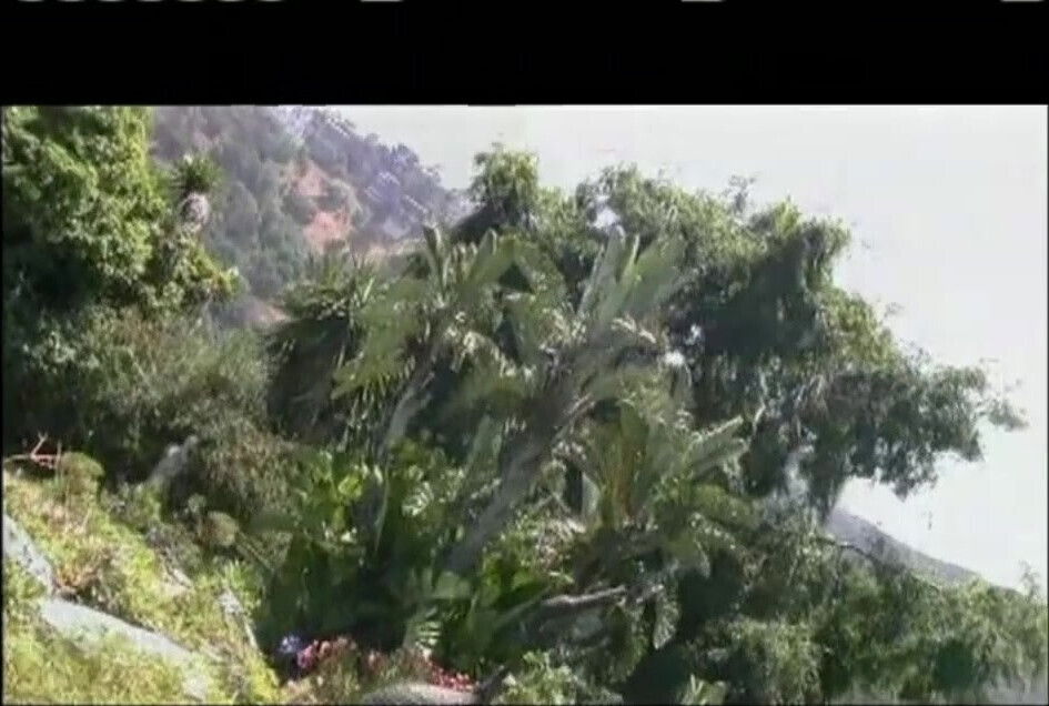 Nasty Sexual Dreamers