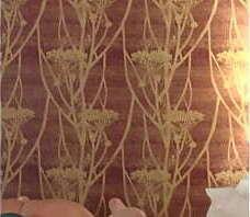 Making Out with Hot BBW - Compilation 3