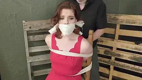 Abby / Daisy Reporter Tied