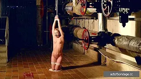 Kneeling On Peas Compilation