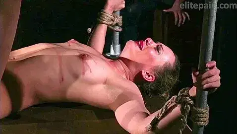 Watch Cards Of Pain 4