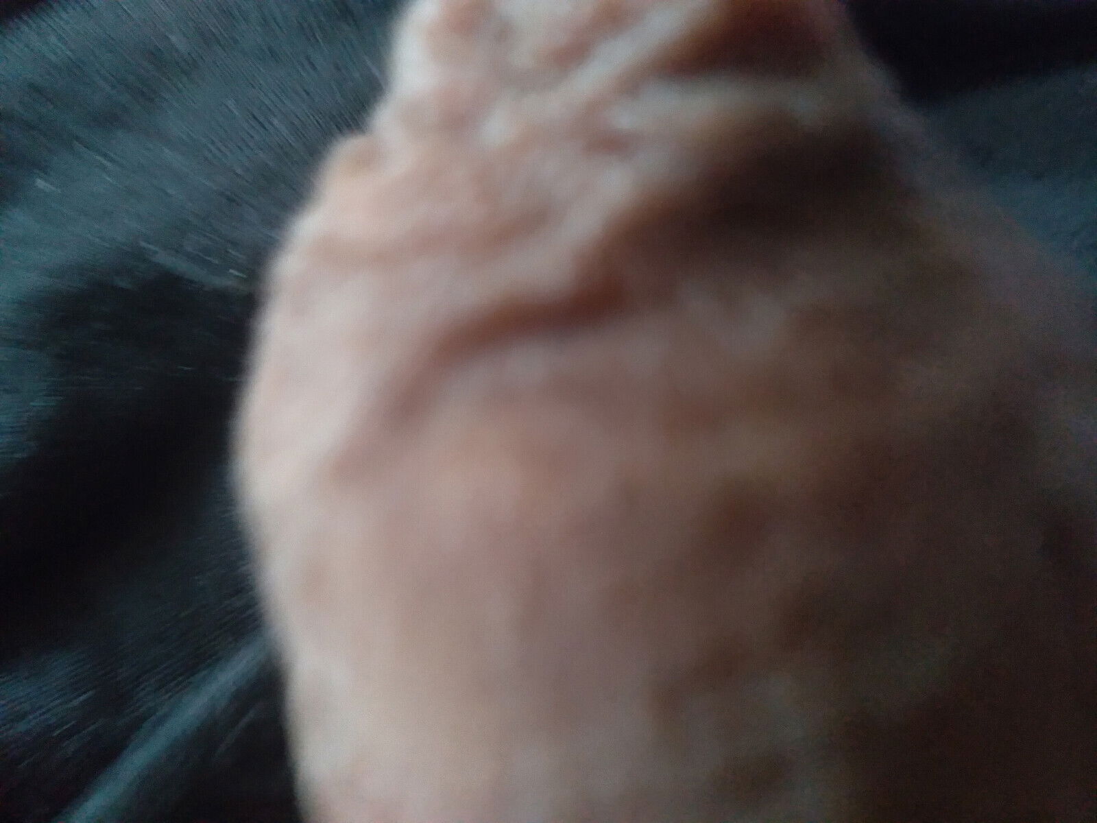 Do you want to suck my monumental penis?