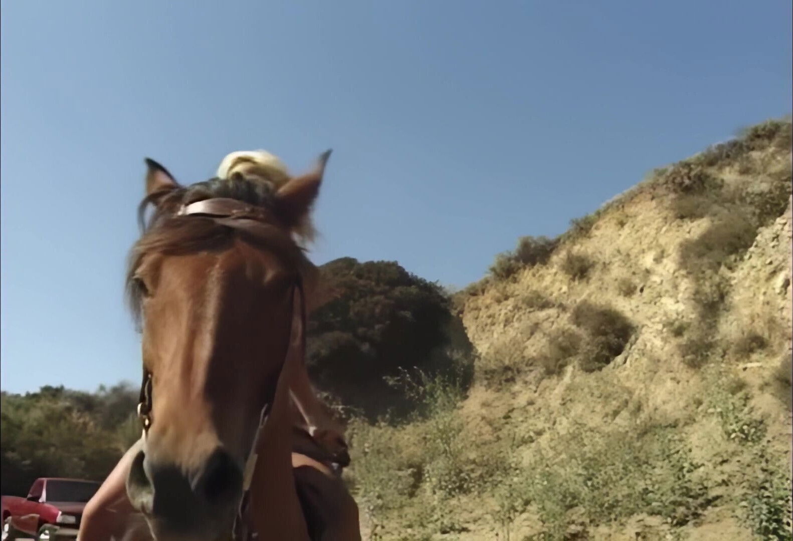 Hard Love for a Wild Princess 