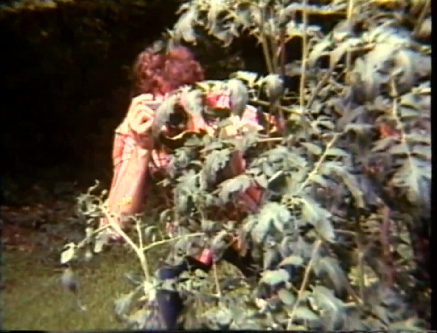 Arcadia Lake and Eric Edwards Each Other