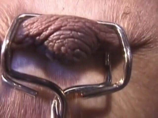 Hot girl gets tiny tits pinned while still gagged