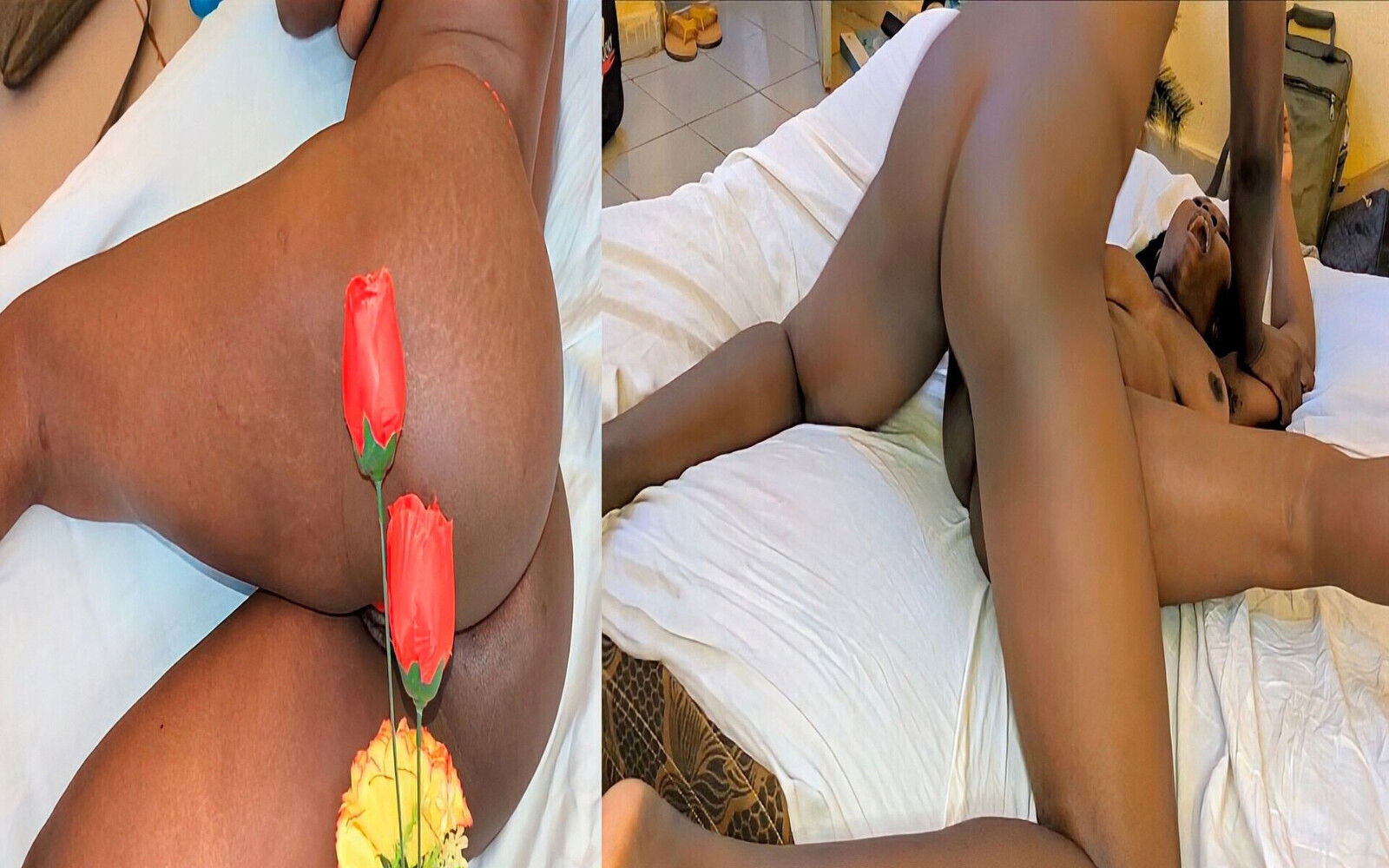 I Received a Rose on Valentine's Day