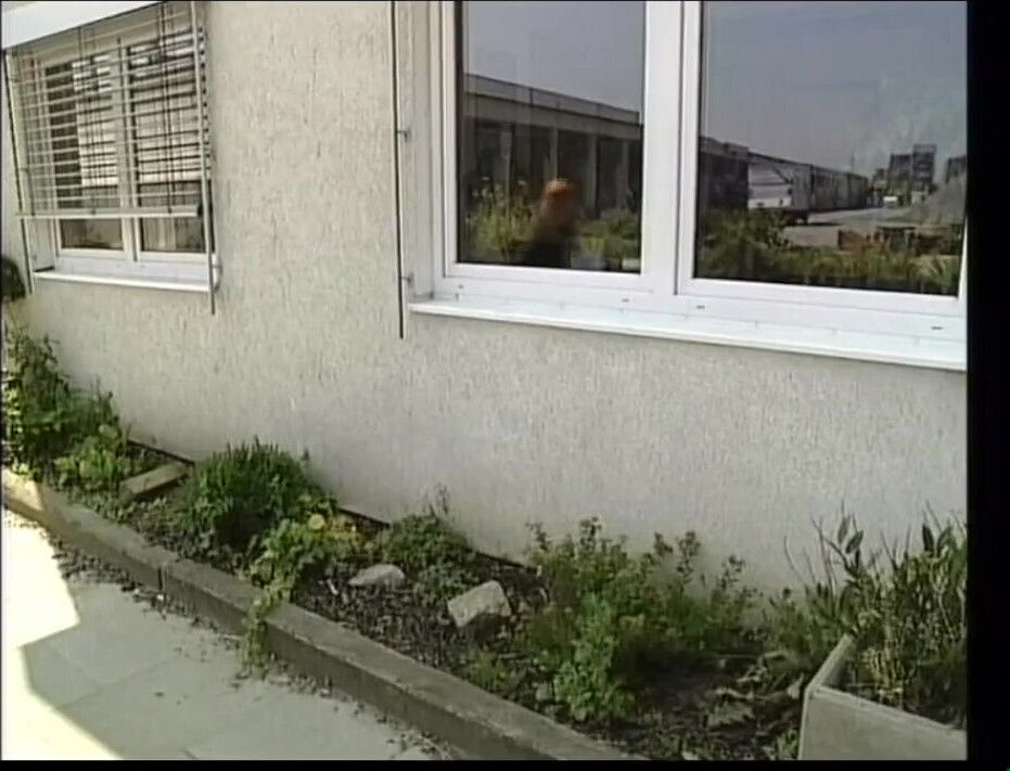 Brunette Horny Whore Suck a Big Cock Before She Get Fuck