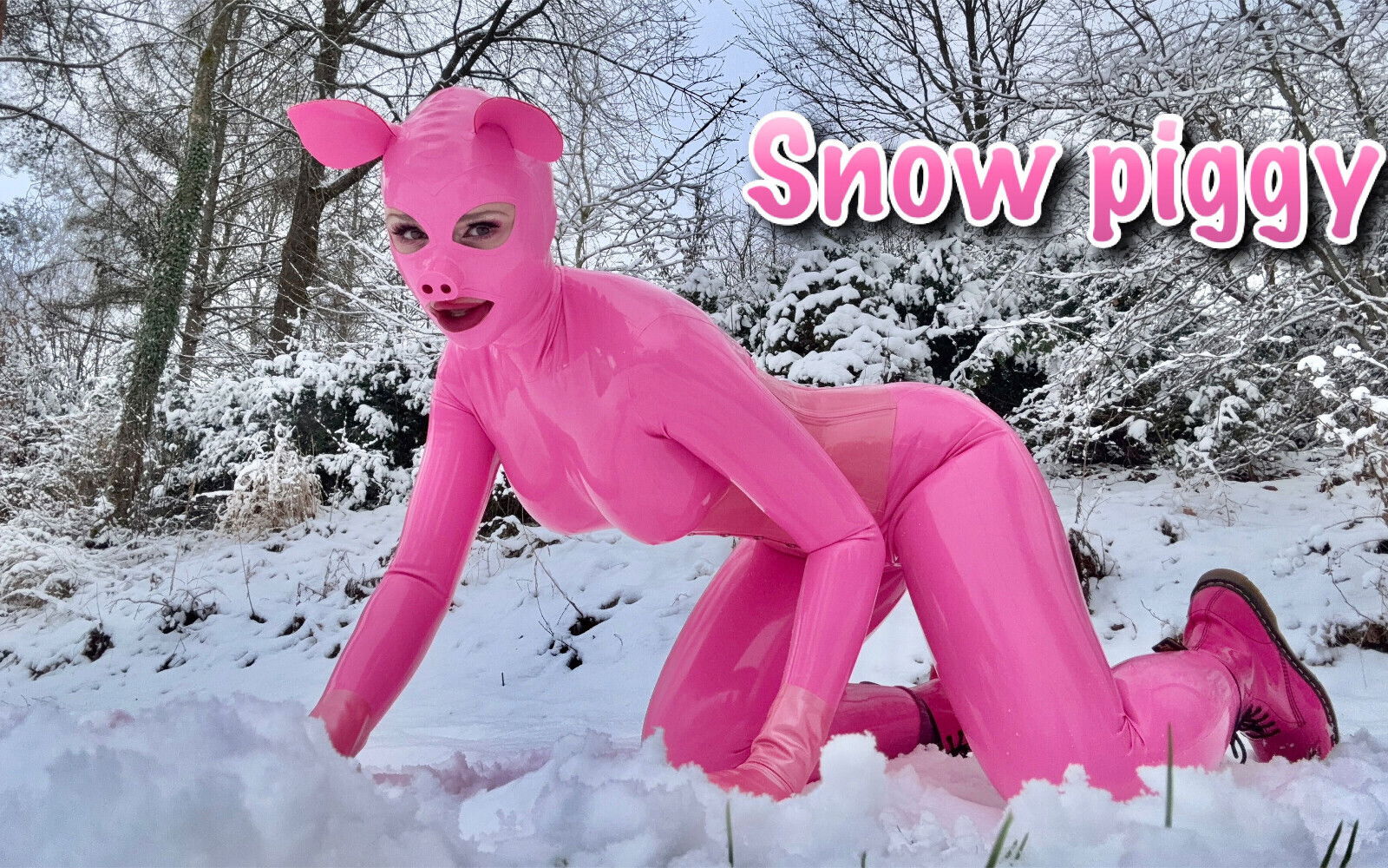 Snow Piggy