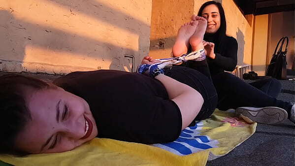 A ticklish view from the roof