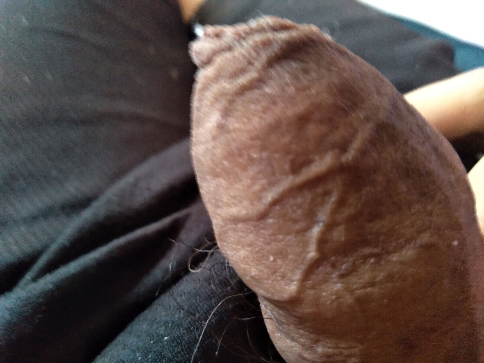 gay penis with a lot of heat in the house