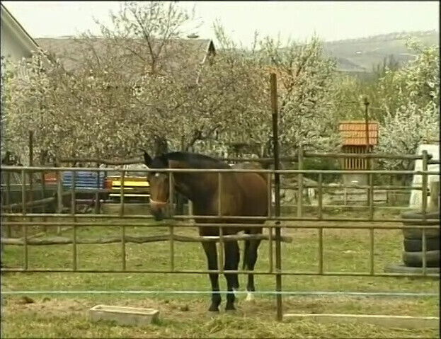 Skinny redhead teen fucked in the workshop