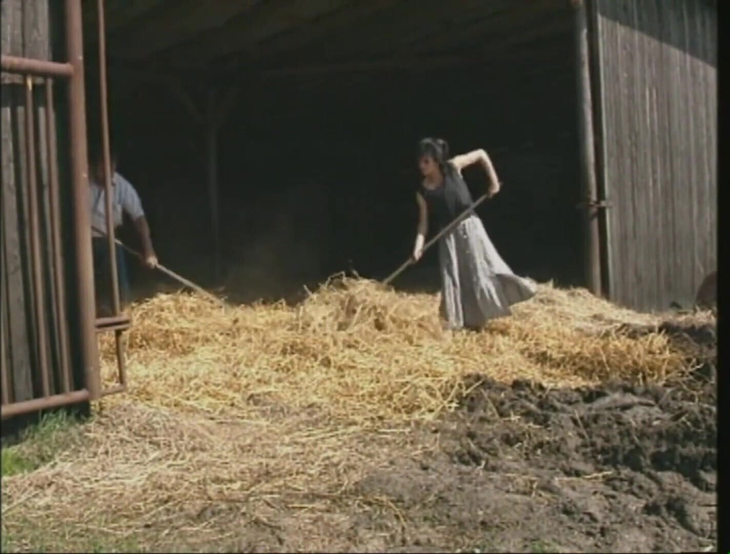 Depraved Break on the Farm