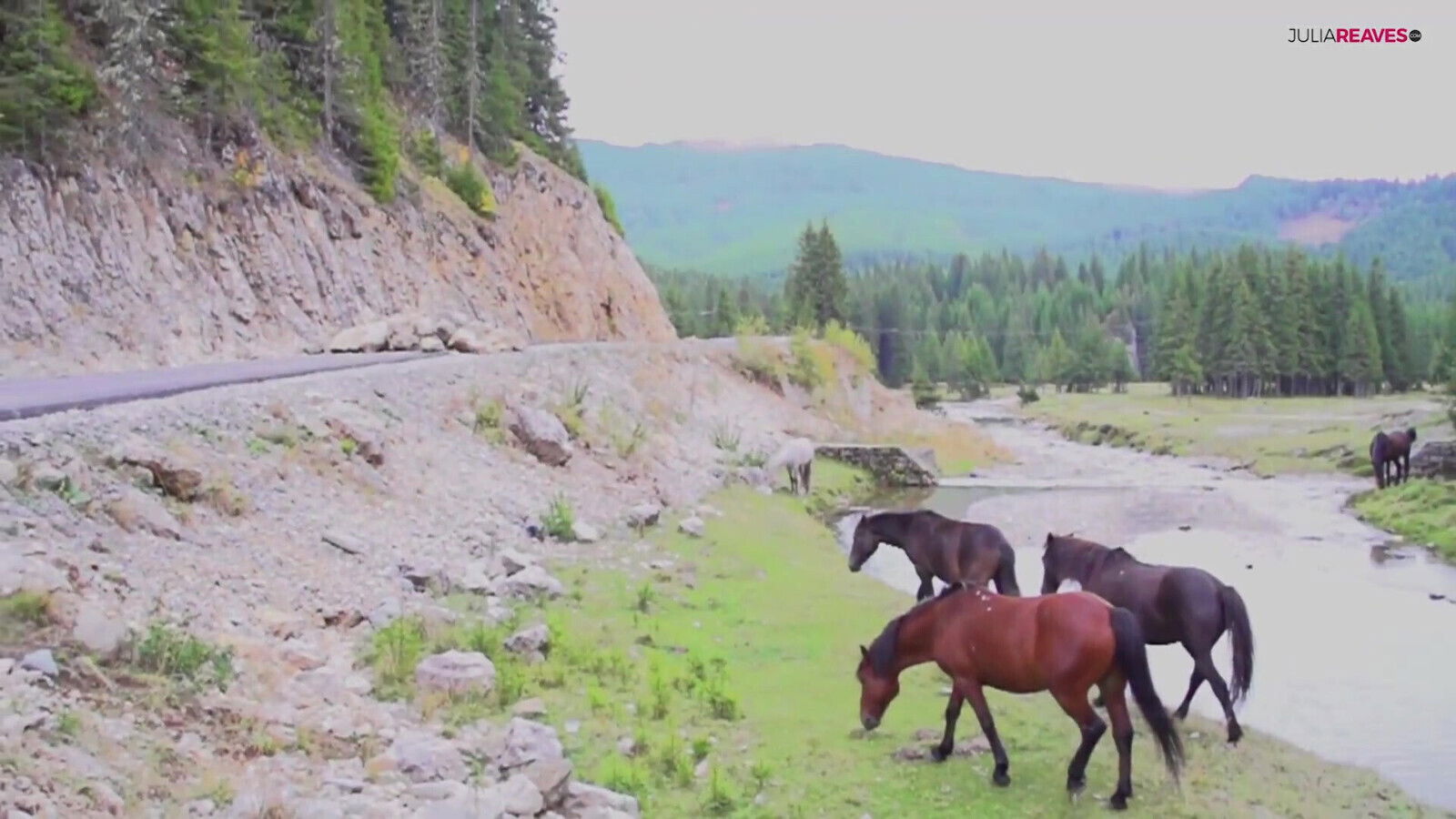Fucking in the forest in the green nature makes my cunt wet