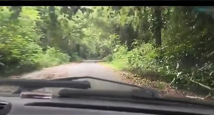 Bruxo Fire Bangs Latina in Forest Milk Bath - Outdoor Doggy Style & Blowjob